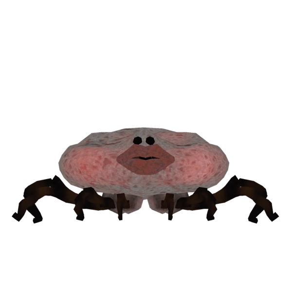 Tick